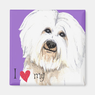 Ich Liebe mein Coton de Tulear Magnet