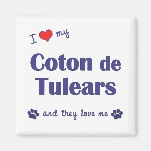 Ich Liebe mein Coton de Tulears (mehrere Hunde) Magnet (Vorne)