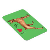 Ich Liebe mein deutscher Pinscher Magnet (Rechte Seite)