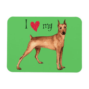 Ich Liebe mein deutscher Pinscher Magnet