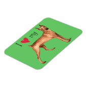 Ich Liebe mein deutscher Pinscher Magnet (Linke Seite)