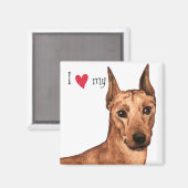 Ich Liebe mein deutscher Pinscher Magnet (Vorderseite/Rückseite)