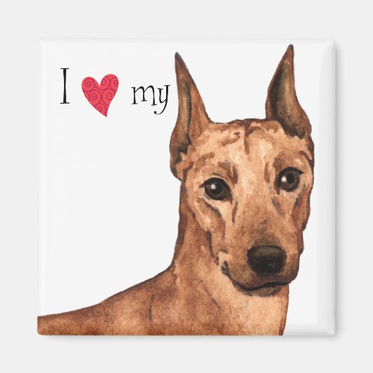 Ich Liebe mein deutscher Pinscher Magnet (Vorne)