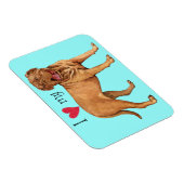 Ich Liebe mein Dogue de Bordeaux Magnet (Rechte Seite)