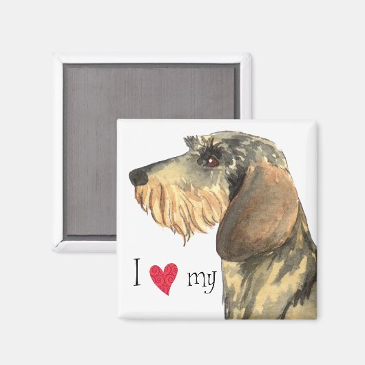 Ich Liebe mein Drahthaar Dackel Magnet (Vorderseite/Rückseite)