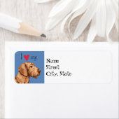 Ich Liebe mein Drahthaar Vizsla (Insitu)