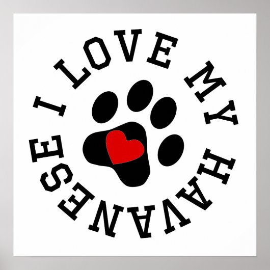 Ich Liebe mein Havanese Poster (Vorne)