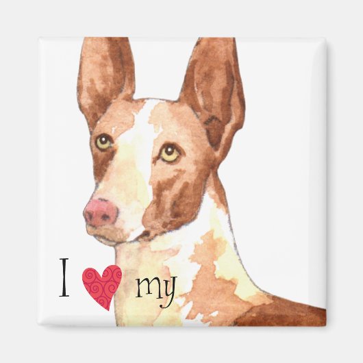 Ich Liebe mein Ibizan Hound Magnet (Vorne)