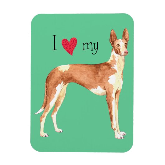 Ich Liebe mein Ibizan Hound Magnet (Vertikal)