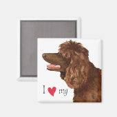 Ich Liebe mein irisches Wasser Spaniel Magnet (Vorderseite/Rückseite)