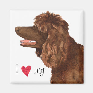 Ich Liebe mein irisches Wasser Spaniel Magnet