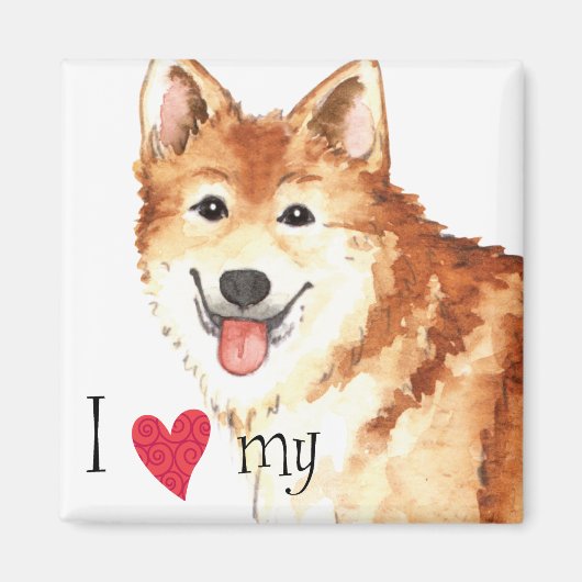 Ich Liebe mein isländischer Schafhund Magnet (Vorne)