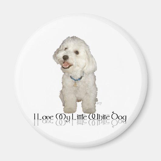 Ich Liebe mein kleiner weißer Hund - Havanese Magnet (Vorne)