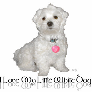 Ich Liebe mein kleiner weißer Hund - Malteser ! Freistehende Fotoskulptur