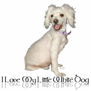 Ich Liebe mein kleiner weißer Hund - Poodle / Bich Freistehende Fotoskulptur