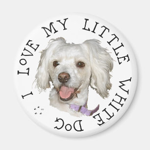 Ich Liebe mein kleines weißes Dog Poodle / Bichon  Magnet