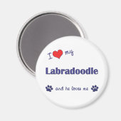 Ich Liebe mein Labradoodle (Männerhund) Magnet (Vorderseite/Rückseite)