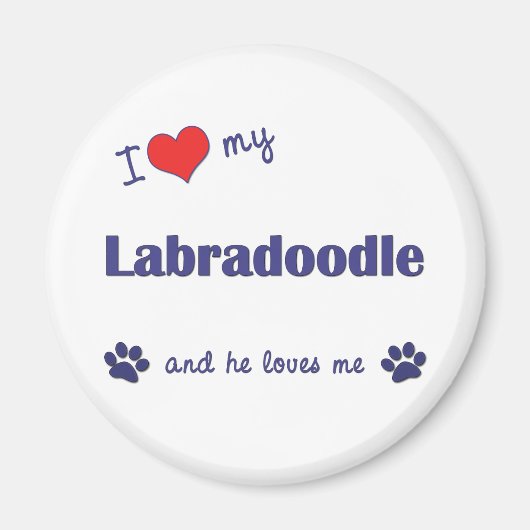 Ich Liebe mein Labradoodle (Männerhund) Magnet (Vorne)