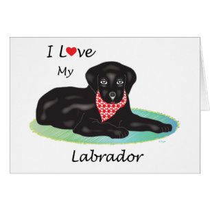 Ich Liebe mein Labrador