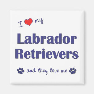 Ich Liebe mein Labrador Retrievers (mehrere Hunde) Magnet