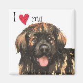Ich Liebe mein Leonberger Magnet (Vorne)
