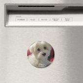 Ich Liebe Mein Malteser Magnet (In Situ (Geschirrspüler))