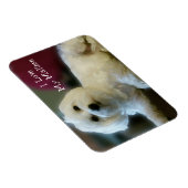 Ich Liebe Mein Malteser Magnet (Rechte Seite)