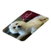 Ich Liebe Mein Malteser Magnet (Linke Seite)