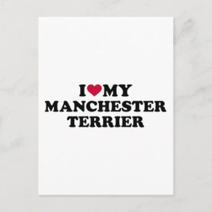 Ich Liebe mein Manchester Terrier Postkarte