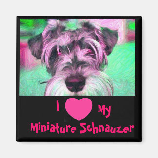 Ich Liebe mein Miniaturschnauzer-Magnet Magnet