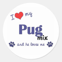 Ich Liebe mein Mops Mix (Männerhund)