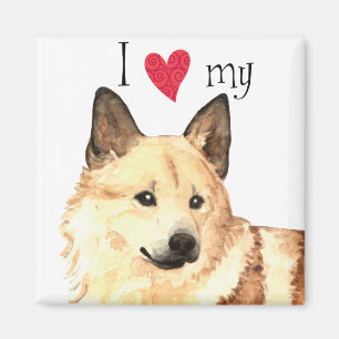 Ich Liebe mein norwegischer Buhund Magnet