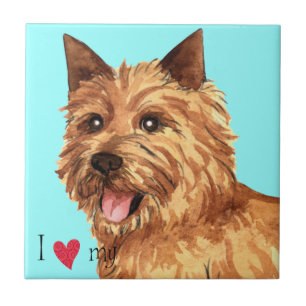 Ich Liebe mein Norwich Terrier Fliese