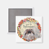 Ich Liebe mein Pekingese Magnet (Vorderseite/Rückseite)