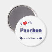 Ich Liebe mein Poochon (Männerhund) Magnet (Vorderseite/Rückseite)