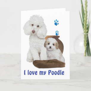 Ich Liebe mein Poodle Karte