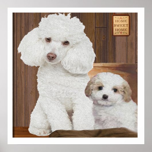 Ich Liebe mein Poodle Poster (Vorne)