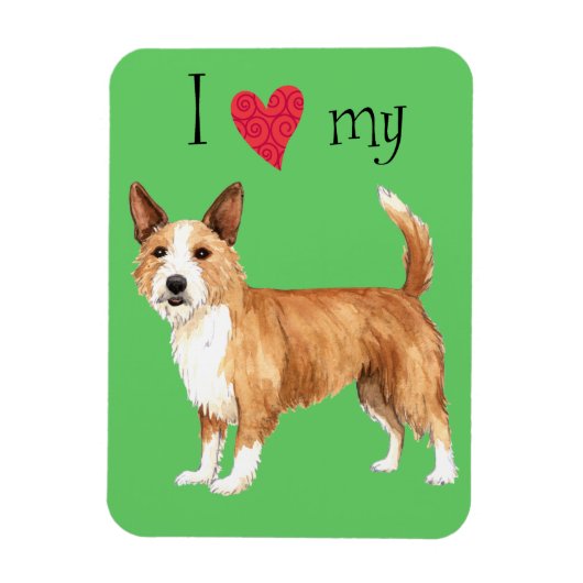 Ich Liebe mein Portugiesisch Podengo Pequeno Magnet (Vertikal)