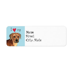 Ich Liebe mein Rhodesian Ridgeback