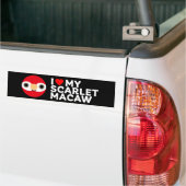 ICH LIEBE MEIN SCARLET MACAW AUTOAUFKLEBER (Auf Lkw)