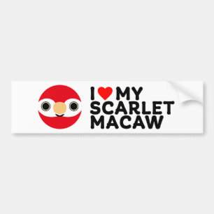 ICH LIEBE MEIN SCARLET MACAW AUTOAUFKLEBER