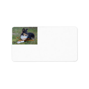 Ich Liebe mein Shetland Sheepdog Black Tri Adressaufkleber