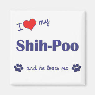 Ich Liebe mein Shih-Poo (Männerhund) Magnet
