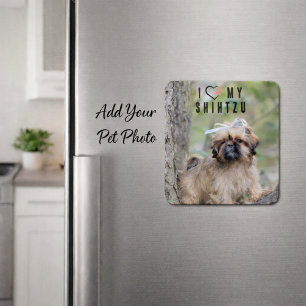 Ich liebe mein Shih Tzu Foto Magnet Süßer Welpe Hu