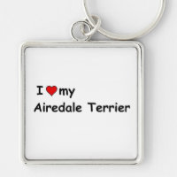 Ich Liebe meine Airedale Terrier