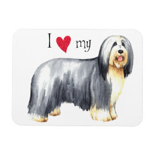 Ich Liebe meine bärtige Collie Magnet