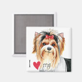 Ich Liebe meine Biewer Terrier Magnet (Vorderseite/Rückseite)