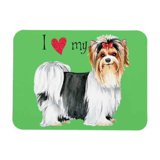 Ich Liebe meine Biewer Terrier Magnet (Horizontal)
