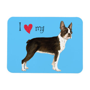 Ich Liebe meine Boston Terrier Magnet