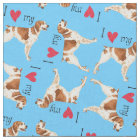 Ich Liebe meine Bretagne